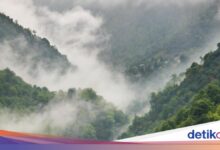 Kabut Mengintai 17 Wilayah Jawa Timur, Ini Daftar Daerah yang Perlu Diwaspadai
