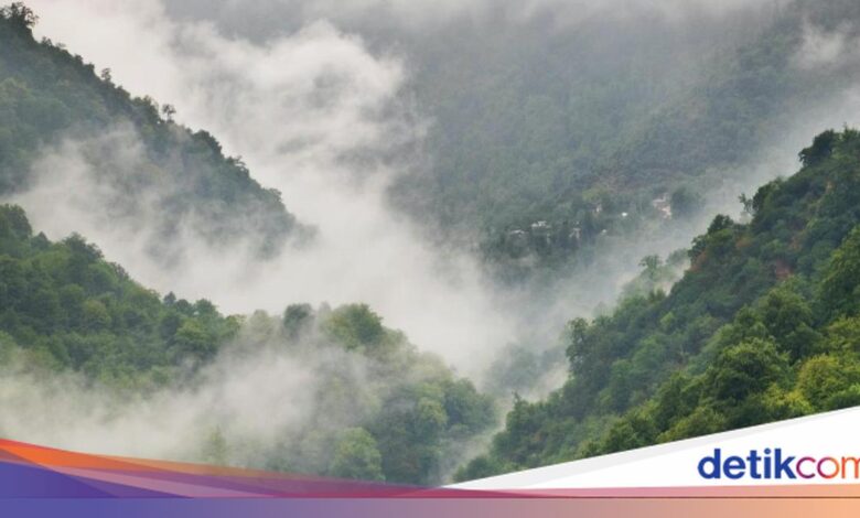 Kabut Mengintai 17 Wilayah Jawa Timur, Ini Daftar Daerah yang Perlu Diwaspadai