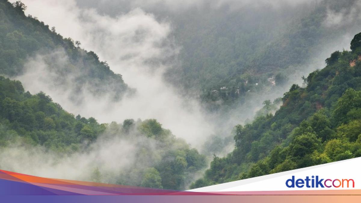 Kabut Mengintai 17 Wilayah Jawa Timur, Ini Daftar Daerah yang Perlu Diwaspadai