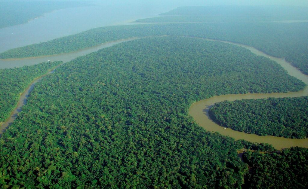 Amazon Pernah Berbalik Arah, Jejak Geologi Ini Mengungkap Alasannya
