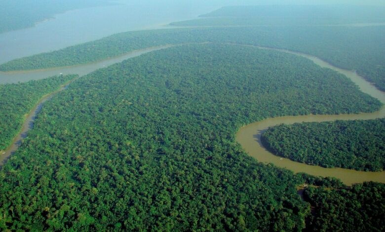 Amazon Pernah Berbalik Arah, Jejak Geologi Ini Mengungkap Alasannya