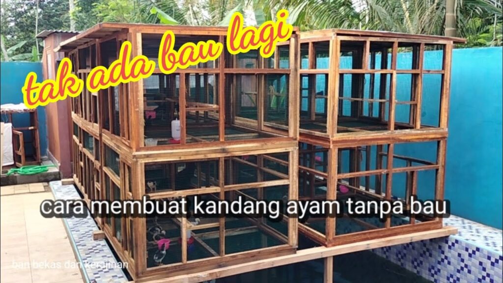 Drum Bekas Ternyata Bisa Jadi Kandang Ayam Lebih Higienis, Ini 7 Variasinya