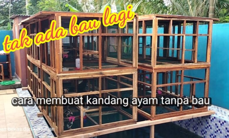 Drum Bekas Ternyata Bisa Jadi Kandang Ayam Lebih Higienis, Ini 7 Variasinya