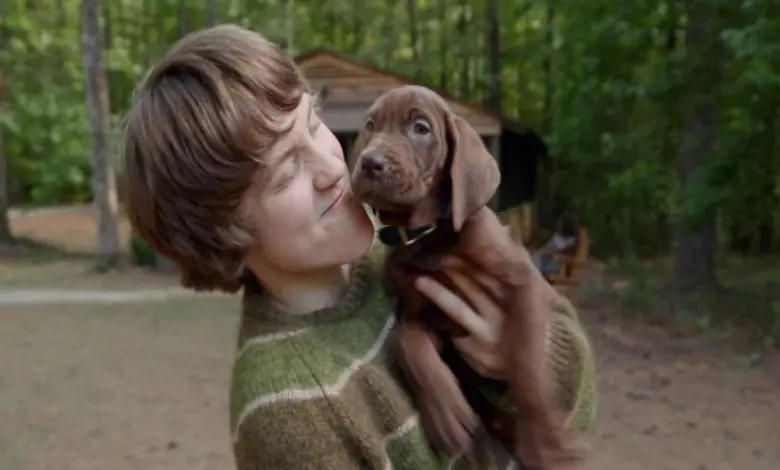 Scooby Jadi Anjing Sungguhan di Netflix, Origin Story Ini Bawa Kejutan Baru
