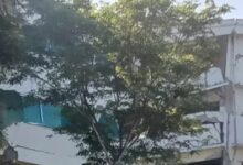 Mindanao Lumpuh Usai Gempa 8,1, Listrik Padam dan Sinyal Telpon Terbatas