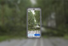 4 HP Android dengan Live Photo, Ada yang Mulai Rp1,5 Jutaan