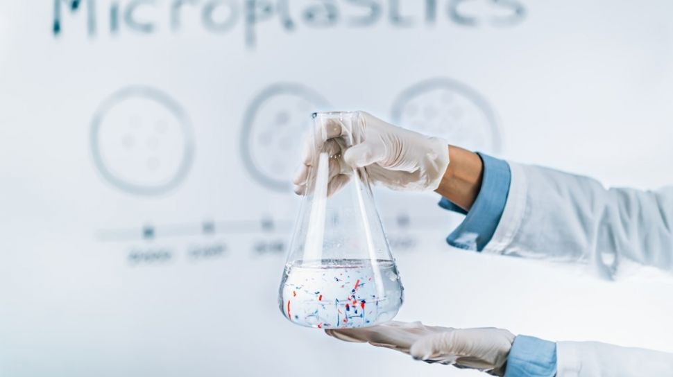 Mikroplastik Sudah Masuk Lewat Udara dan Makanan, Risiko Jangka Panjangnya Mengintai