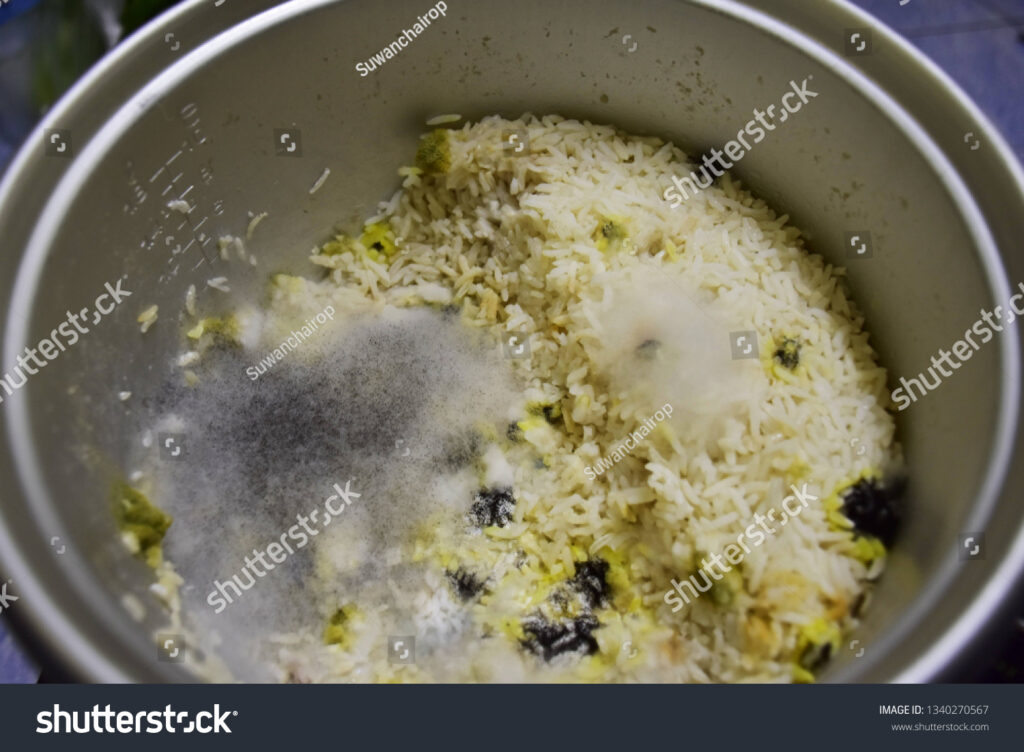 4 Kebiasaan Kecil yang Diam-Diam Membuat Nasi Cepat Basi di Rice Cooker