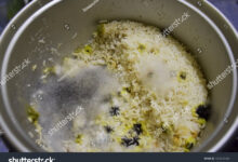 4 Kebiasaan Kecil yang Diam-Diam Membuat Nasi Cepat Basi di Rice Cooker
