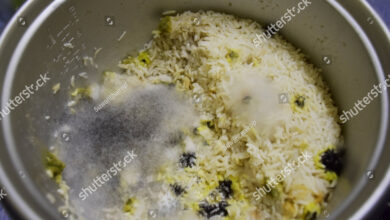 4 Kebiasaan Kecil yang Diam-Diam Membuat Nasi Cepat Basi di Rice Cooker