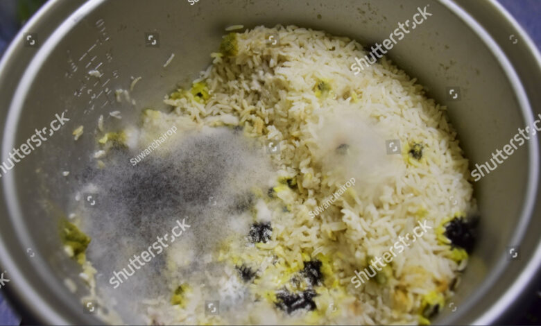 4 Kebiasaan Kecil yang Diam-Diam Membuat Nasi Cepat Basi di Rice Cooker