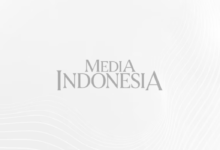 Rp 200 Triliun di Nagan Raya Menggoda, Tapi Hutan Leuser Bisa Jadi Taruhannya