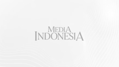 Rp 200 Triliun di Nagan Raya Menggoda, Tapi Hutan Leuser Bisa Jadi Taruhannya