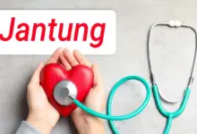 Perut Buncit Ternyata Bisa Jadi Alarm Dini Sindrom Kardiovaskular Ginjal Metabolik