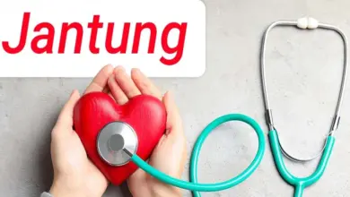 Perut Buncit Ternyata Bisa Jadi Alarm Dini Sindrom Kardiovaskular Ginjal Metabolik
