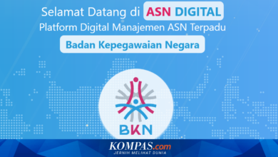 MFA Jadi Kunci Masuk ASN Digital, Begini Cara Aman Akses myASN dan SIASN