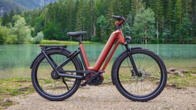 Bosch di Gazelle Kini Bisa Dinaikkan via Aplikasi, Dua E-Bike Premium Ini Mengejutkan
