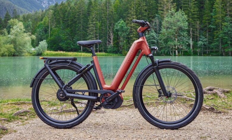 Bosch di Gazelle Kini Bisa Dinaikkan via Aplikasi, Dua E-Bike Premium Ini Mengejutkan