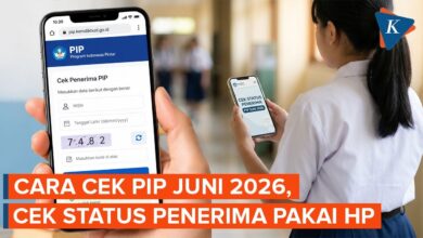 Status Cair PIP Bisa Langsung Muncul di HP, Begini Cara Cek di SIPINTAR