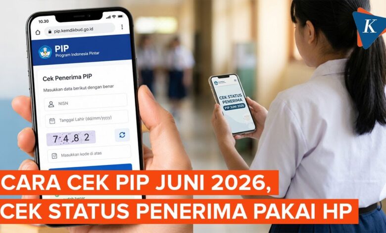Status Cair PIP Bisa Langsung Muncul di HP, Begini Cara Cek di SIPINTAR