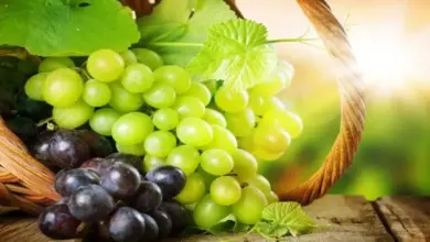 14 Buah yang Diam-Diam Bisa Mengganggu Diet, Ini Pilihan Pengganti yang Lebih Aman