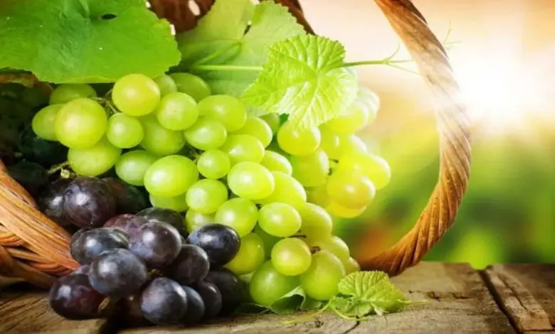 14 Buah yang Diam-Diam Bisa Mengganggu Diet, Ini Pilihan Pengganti yang Lebih Aman