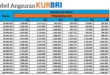 Tenor 60 Bulan Bikin Cicilan KUR BRI Rp 50 Juta Turun ke Rp 990 Ribu