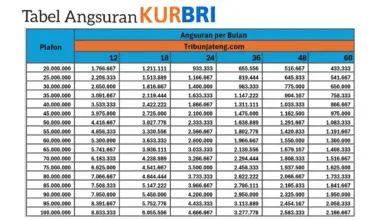 Tenor 60 Bulan Bikin Cicilan KUR BRI Rp 50 Juta Turun ke Rp 990 Ribu