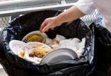 Pembengkakan Dapur Makan Bergizi Gratis Memicu Koreksi Besar, Anggaran Terancam Rp12 Triliun
