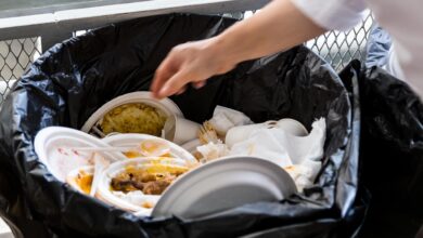 Pembengkakan Dapur Makan Bergizi Gratis Memicu Koreksi Besar, Anggaran Terancam Rp12 Triliun