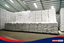Stok Beras Tembus 5,33 Juta Ton, Indonesia Punya Bantalan Besar Saat Harga Diuji