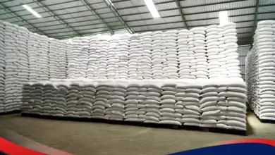 Stok Beras Tembus 5,33 Juta Ton, Indonesia Punya Bantalan Besar Saat Harga Diuji
