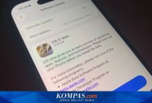 iOS 27 Beta Sudah Bisa Dicoba, Ini Risiko yang Perlu Dipikirkan Dulu