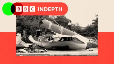 RAT Sudah Muncul Sejak Lepas Landas, Teori Jatuhnya Air India 171 Makin Rumit