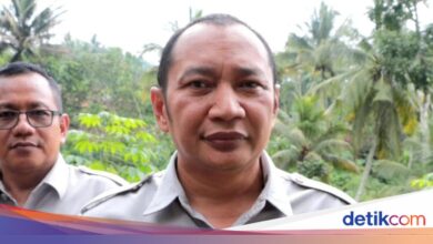 El Nino Mengancam Jawa Timur, 916 Desa Terancam Kekeringan dan Karhutla Meluas