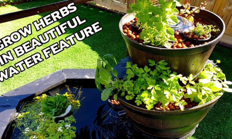 7 Cara Satukan Kolam Lele dan Kangkung, Lahan Sempit Tetap Bisa Produktif