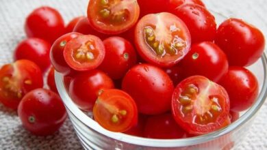 5 Makanan Ini Bisa Bantu Kulit Wajah Tetap Kencang di Usia 40-an