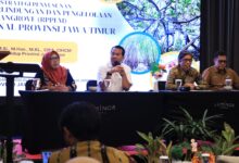 Jawa Timur Percepat RPPEM, Mangrove Masuk Jalur Perlindungan yang Lebih Keras