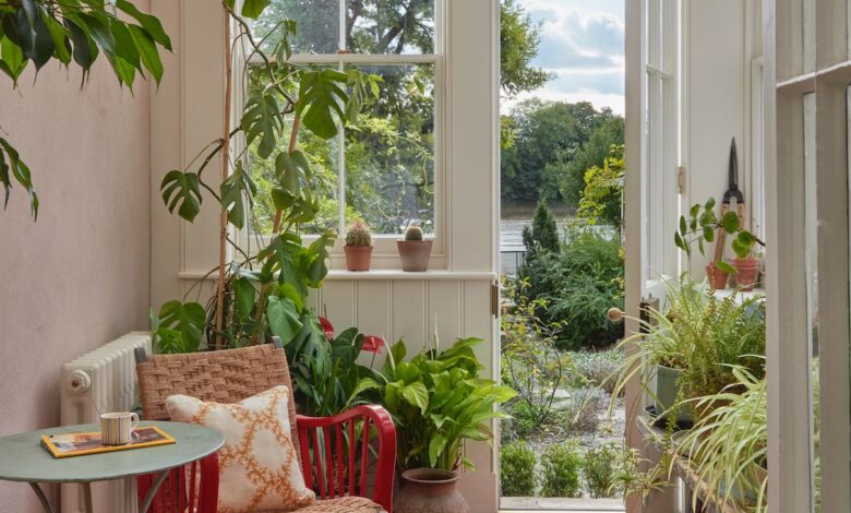 5 Tanaman Indoor yang Bikin Rumah Terasa Lebih Tenang dan Penuh Keberuntungan