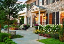 6 Tanaman Outdoor Minimalis yang Bikin Halaman Modern Tampak Rapi dan Elegan