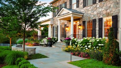 6 Tanaman Outdoor Minimalis yang Bikin Halaman Modern Tampak Rapi dan Elegan
