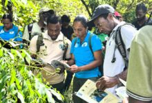 Tujuh KUPS di Jawa Timur Terima Bantuan Alat, Dorong Usaha Hutan Sosial