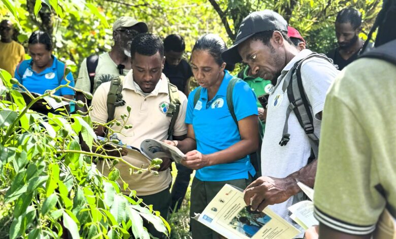 Tujuh KUPS di Jawa Timur Terima Bantuan Alat, Dorong Usaha Hutan Sosial