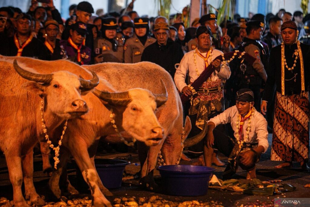 11 Weton Tulang Wangi Ini Disebut Punya Kepekaan Kuat, Begini Alasannya Tak Dianjurkan Keluar Rumah
