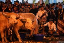 11 Weton Tulang Wangi Ini Disebut Punya Kepekaan Kuat, Begini Alasannya Tak Dianjurkan Keluar Rumah