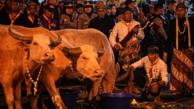 11 Weton Tulang Wangi Ini Disebut Punya Kepekaan Kuat, Begini Alasannya Tak Dianjurkan Keluar Rumah