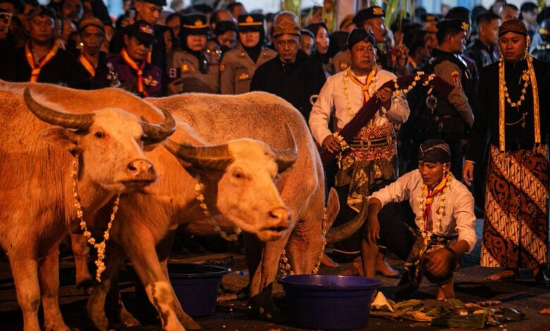 11 Weton Tulang Wangi Ini Disebut Punya Kepekaan Kuat, Begini Alasannya Tak Dianjurkan Keluar Rumah