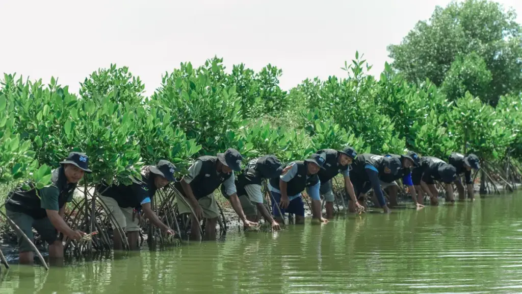 BRI Peduli Dorong Ketapanrame Naik Kelas, Dari Wisata Sawah ke Edukasi Haji