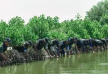 BRI Peduli Dorong Ketapanrame Naik Kelas, Dari Wisata Sawah ke Edukasi Haji