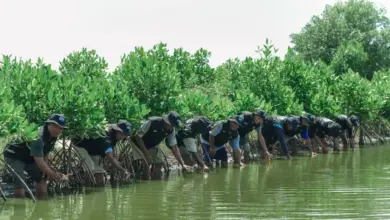 BRI Peduli Dorong Ketapanrame Naik Kelas, Dari Wisata Sawah ke Edukasi Haji